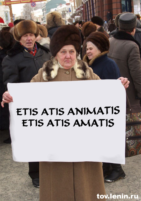 ETIS ATIS ANIMATIS
